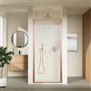 Parama Porta doccia 70cm con apertura saloon profili slim rame spazzolato vetro 6mm trasparente anticalcare h190 | Portofino