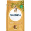 FORZA10 CANE MAINTENANCE ADULT MEDIUM POLLO E PATATE DA 12 KG 12KG