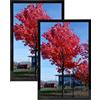 Medog 20 x 30 - Cornice per foto, 20 x 30 cm, 20 x 30 cm, colore: nero