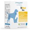 DYNAMOPET Srl DIMOOD SMALL 20Bust.