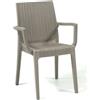 ARETA S.R.L. POLTRONA DAFNE TORTORA SIMIL RATTAN