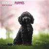 Magnet & Steel Cockapoo Cuccioli Calendario 2026