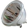 LG 6912B22002B, 6912B22002C, 6912B22007A LAMPADA OSRAM SENZA SUPPORTO (SOLO BULBO)