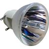 MITSUBISHI VLT-XD600LP LAMPADA OSRAM SENZA SUPPORTO (SOLO BULBO)