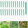 HGRGHH Ganci per Pomodori con Corda, 25 Pezzi Ganci di Supporto per Pomodori e 30 Pezzi Giardino Piante Clip di Supporto con 10 Metri di Corda per Evitare Che i Pomodori Si Spacchino o Cadano, Verde