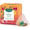 Neavita Pensieri Felici Infuso Melagrana e Kombucha, 15 filtri