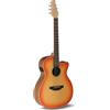 Applause Chitarra acustica elettrica Applause - Jump OM Electro Cut - Tavola in abete massiccio - Fondo in ovangkol - Cutaway - Honey Burst opaco - AEO-69-HB