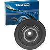 DAYCO DPV1073 SMORZATORE Land Rover/MG Rover | Compatibile con: LAND ROVER FREELANDER I, MG ZT, ZT- T, 75, 75 I Tourer