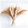 PatNlevs Pampa essiccata (B) PatNlevs Erba della Pampas Decorative, Fiori Secchi Decorativi per Vaso, Decorazione Naturale fai da te Tavolo Boho, Pampas Grass Decorazioni per Matrimoni, Soggiorno, Home