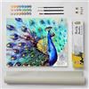 DonElton Dipingi con i Numeri per Adulti Animali - Kit di Pittura 40x50 cm con Pennelli, Colori Acrilici e Tela di Lino, Senza Cornice - Regalo Creativo (Pavone)