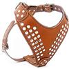 Bestia Star Pettorina per cani in pelle con borchie