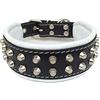 Bestia Rocky collare borchiato. Mano made. Bulldog francese a pastore tedesco