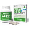 Innovet Condrogen® Puppy Alimento complementare per le articolazioni di cuccioli - 60 compresse - Supporta le articolazioni durante l'accrescimento - Per cuccioli di taglia grande e gigante