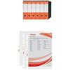 Esselte Set Esselte OXFORD G85 6x Registratore con Custodia, f.to Protocollo (23x33cm), Dorso 8 cm, Arancione, 6 pezzi, 390785200 + 100 Buste A4 trasparenti antiriflesso perforate, 395613000