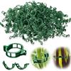 shallyong Clip di Sostegno per Piante, 300 Pezzi Clip di Supporto alla Crescita, Clip Supporto Piante Orto, Clip per Piante, per Innesti Giardinaggio,Pomodoro Verdure Clip (Verde)
