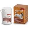 Candioli Vigopet Cani 20 Compresse