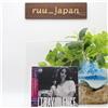 LANA DEL REY ULTRAVIOLENCE JAPAN EDITION CD 15 canzoni incl 4 BONUS TRACKS Nuovo