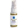 EURODREAM Srl CELLFOOD MSM METIL SULFONIL METANO SOLUZIONE SALINA COLLOIDALE 30 ML