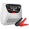 Telwin TOURING 15 Caricabatterie e Mantenitore di Carica per Batterie 12V/24V, tecnologia TRONIC, con pinze