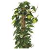 BIACCHI ETTORE SRL Tutore Muschiato 80 cm D5