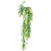 TOBIA'S IMPORT EXPORT DI PETRI ENZO PIANTA 13770029-01 CITRONELLA VERDE RAMPICANTE