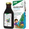 SALUS HAUS Gmbh & Co KG KINDERVITAL Vit.E/Ca 250ml