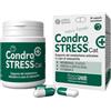 INNOVET ITALIA CONDROSTRESS+CAT 30 Cps
