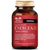 SALUGEA RELOAD SALUGEA ENERGEA+ 60Cps
