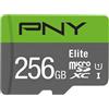 Pny 256GB Scheda SDXC Pny Elite 100MB/S C10 U1 [P-SDU256V11100EL-GE]