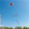 Aquilone Colorato, Creativo, Arcobaleno, Divertimento All'aperto per Parchi,