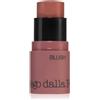 Diego dalla Palma All In One Blush 4 g