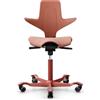 Hag Capisco Puls 8020 Rosehip 20 Kg