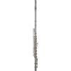 Roy Benson FL-402E Flauto Traverso