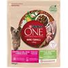 Purina ONE Mini Dog - Controllo del peso - Sterilizzato - con Tacchino e Riso 800 Gr