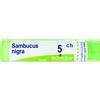 Sambucus nig boi*5ch 80gr 4g - 046099622 - igiene-e-salute/rimedi-omeopatici/globuli-e-granuli