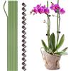 Ejoyous Set di 10 bastoncini di supporto per piante da giardino, in metallo, per pali da giardino (60 cm)