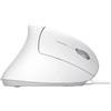 Trust Mouse Trust Verto verticale mano destra Ottico Usb-A 1600Dpi Bianco [25133]