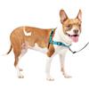 PetSafe EW-HD-M-OCN-19 Pettorina Deluxe Easy Walk Media, Blu Oceano - 0.3 kg