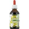 SPAZIO ECOSALUTE Srl Coriandolo tintura madre 100 ml Ecosalute gocce fitoterapiche