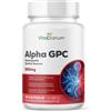 VitaSanum® - Alpha-GPC (L-α-glicerilfosforilcolina) 90 pz Capsule