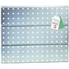 Raaco Pannello Porta Attrezzi da Parete, 75 kg Capacità, Parete forata | Parete Attrezzata Officina 52 x 44 cm, Parete forata in Acciaio Zincato, Perfetta per Garage - Per scaffale, parete e banco
