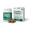 Innovet Condrostress Mobility per Cani Adulti e Anziani Che Soffrono di Rigidità Articolare - 30 Soft Chews - Supporta Il Metabolismo Cartilagineo e la Mobilità
