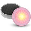 Lumisky Set di 2 luci solari galleggianti decorative piscina RGB impermeabile con telecomando 9 colori 2X SPLASHY D11cm