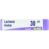 BOIRON Lachesis mutus 30ch gl bo - 800026332 - igiene-e-salute/rimedi-omeopatici/globuli-e-granuli