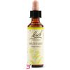 SCHWABE PHARMA ITALIA SRL MUSTARD BACH ORIG 20 ML