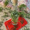 Generico 300 Semi di Ruta Officinale, (Ruta graveolens) Erba Aromatica per Cucina e Liquori