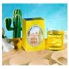 Tepuma Desert Lemon Drink 100G 100 g Polvere per soluzione orale