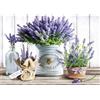 DAERLE Lavanda Pittura Diamante Fai da Te, 5D Fiore di Lavanda Diamond Painting Kit Completo per Adulti, Diamant Painting per Bambini, Decorazioni per Casa 40x30cm