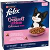Felix Junior Doubly Delicious Pollo & Tacchino - 800 g