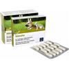 CAMON ARTOSALUS ORME NAT 60CPR